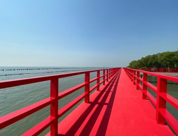 สะพานแดง จุดชมวิวปลาโลมา